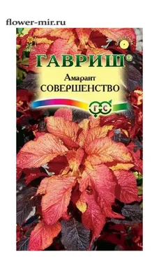 Амарант Совершенство двухцветный 0,1 гр. купить оптом в Томске по цене  12,35 руб.