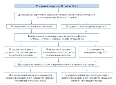 Значение генетических и негенетических факторов в возникновении и развитии андрогенной  алопеции у мужчин: многопараметрический анализ - Кондрахина - Вестник  Российской академии медицинских наук