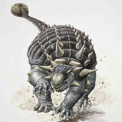 Анкилозавр - бронированный динозавр с булавой на хвосте