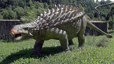 Палеонтологи разгадали тайну мертвых анкилозавров — Naked Science