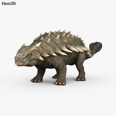 С анимацией Анкилозавр 3D модель - Животные на Hum3D