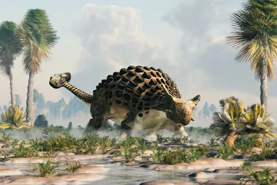 Анкилозавр (Ankylosaurus) — фото, описание, размеры, среда обитания — Dino  Farm