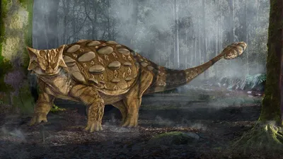 Анкилозавр - танк из мира динозавров. | Палеонтология - Палеоархивы | Дзен