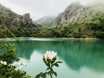 Тур в Зеленогорье: Арпатские водопады и Зелёное озеро — цена 13700 ₽