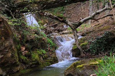 Ускутские водопады в Крыму - фото и картинки: 62 штук