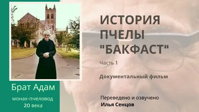 Брат Адам. История пчелы \"Бакфаст\" (часть 1) - YouTube