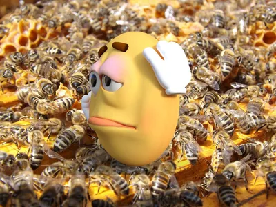 Как я первый раз купил пчёл Бакфаст. История одной неудачной сделки. |  Медоведение | Дзен