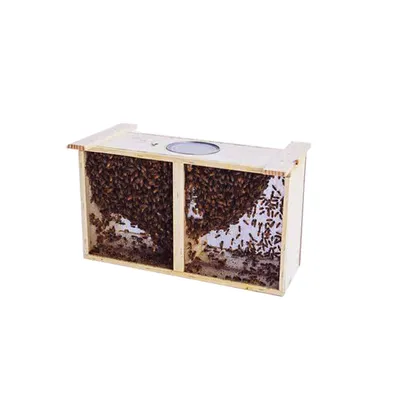 Купить пчелопакет бакфаст бессотовый (не старше 2022 года) по цене 5 900  руб.