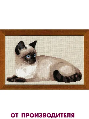 Набор для вышивания \"Тайская кошка\" РИОЛИС 8771623 купить за 757 ₽ в  интернет-магазине Wildberries