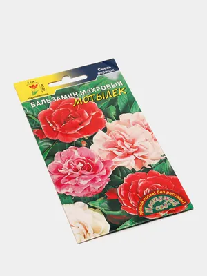 Цветы Бальзамин махровый Мотылек (семена) за 43 ₽ купить в  интернет-магазине KazanExpress