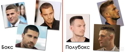 Стрижка Бокс – TOP BARBERSHOP