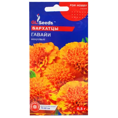 Бархатцы Гавайи 0.5 г Gl Seeds - купить по лучшей цене в Днепропетровской  области от компании \"Agroretail.com.ua\" - 540887982