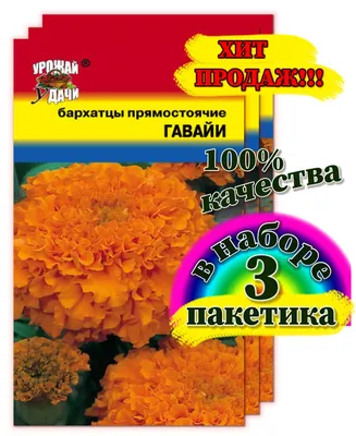 Бархатцы Урожай удачи цветы1 - купить по выгодным ценам в интернет-магазине  OZON