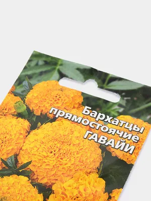Бархатцы Гавайи (семена,цветы) за 59 ₽ купить в интернет-магазине  KazanExpress