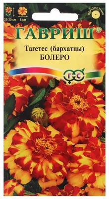 Семена Гавриш Бархатцы отклоненные Болеро (Тагетес) 0,3 г — купить в  интернет-магазине по низкой цене на Яндекс Маркете