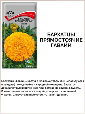 Набор семена цветов бархатцев для сада ПОИСК 143377931 купить за 307 ₽ в  интернет-магазине Wildberries