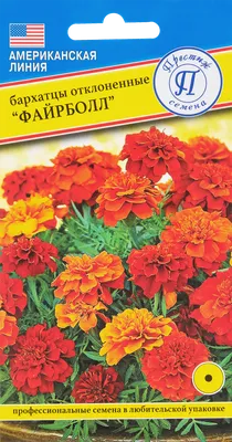 Семена Бархатцы отклоненные «Файрболл» в Москве – купить по низкой цене в  интернет-магазине Леруа Мерлен