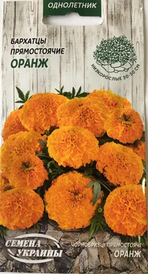 Семена Украины бархатцы прямостоячие Оранж 0.3г – отзывы покупателей |  ROZETKA