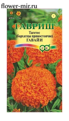 Бархатцы (Тагетес) Гавайи 0,3 гр. прямостоячие купить оптом в Томске по  цене 16,16 руб.