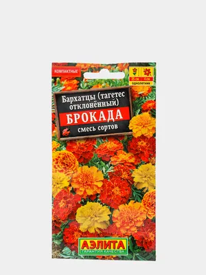 Бархатцы Брокада, смесь окрасок (семена) цвета за 32 ₽ купить в  интернет-магазине KazanExpress