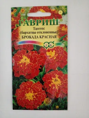Бархатцы Брокада красная 0,3гр ГШ - Rassada74 купить в Челябинске