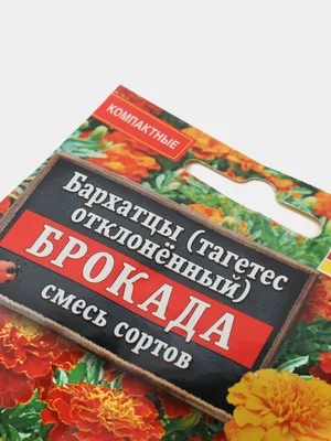 Бархатцы Брокада (семена,цветы) за 59 ₽ купить в интернет-магазине  KazanExpress