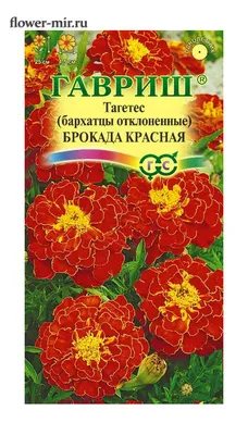 Бархатцы (Тагетес) Брокада Красная 0,3 гр. отклоненные купить оптом в  Томске по цене 16,16 руб.