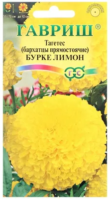 Бархатцы tagetes lemon queen — купить по низкой цене на Яндекс Маркете