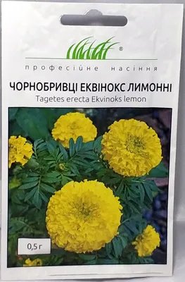 Семена бархатцев – купить семена бархатцев с доставкой по Украине