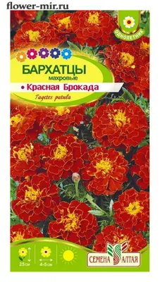 Бархатцы (Тагетес) Красная Брокада 0,3 гр. купить оптом в Томске по цене  13,89 руб.