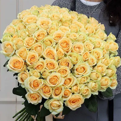 101 бежевая роза - заказать с доставкой по Коврову | Флоренция - Online  shop delivery flower.