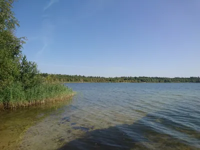 Белое озеро в Ульяновской области. Базы отдыха, погода, где находится,  фото, видео, отзывы, отдых в домиках, как добраться – Туристер. Ру