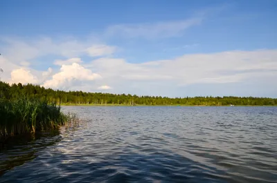 Белое озеро Николаевский район (106 фото) »