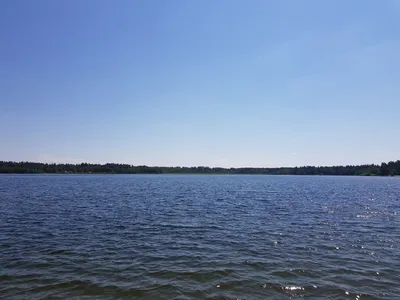 Белое озеро в Ульяновской области. Базы отдыха, погода, где находится,  фото, видео, отзывы, отдых в домиках, как добраться – Туристер. Ру