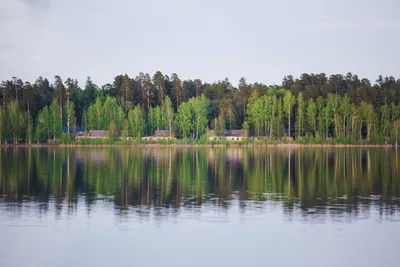 Белое озеро Николаевский район - 90 фото