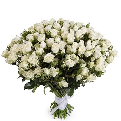 Белые и персиковые кустовые розы по цене 10088 ₽ - купить в RoseMarkt с  доставкой по Санкт-Петербургу