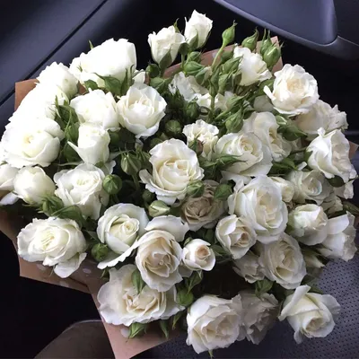 Купить розы кустовые белые от V-flowers. Заказать букет роз. Цветы с  доставкой.