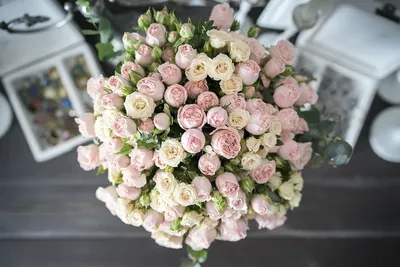 Купить 25 веток кустовых роз белого цвета в Могилеве с доставкой