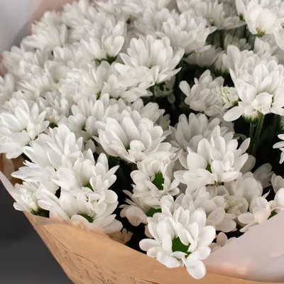 Букет \"Нежность\" из 11 белых кустовых хризантем купить с доставкой