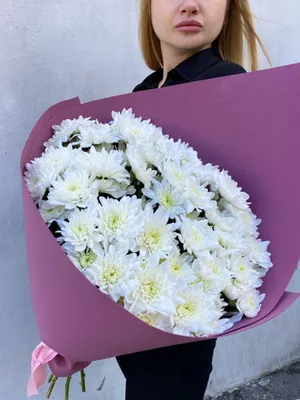 Белые кустовые хризантемы 11 шт купить с доставкой за 3681 рублей в Москве