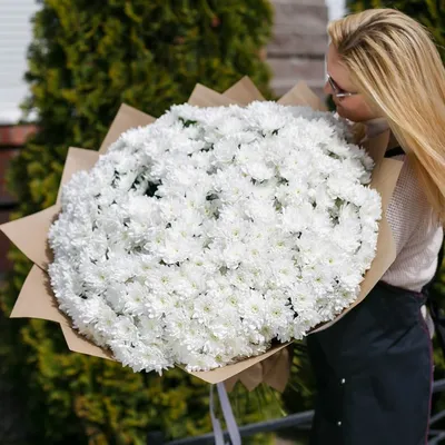101 белая кустовая хризантема в букете | Бесплатная доставка цветов по  Москве