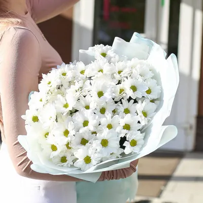 29 белых кустовых хризантем в букете | Бесплатная доставка цветов по Москве