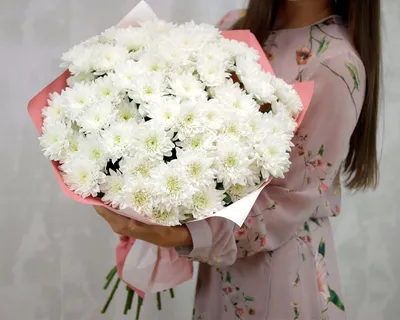 Купить Букет из 15 белых кустовых хризантем Балтика в стильной упаковке в  городе Санкт-Петербург