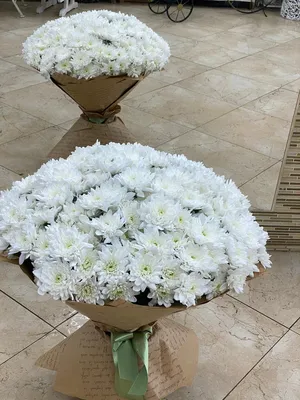 Букет из 25 хризантем кустовых белых заказать и купить в Москве за 6650  рублей с бесплатной доставкой