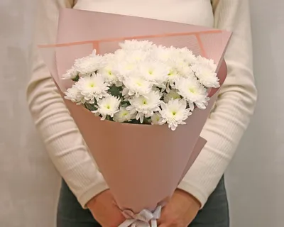 Купить Букет из 5 белых кустовых хризантем в стильной упаковке в городе  Псков