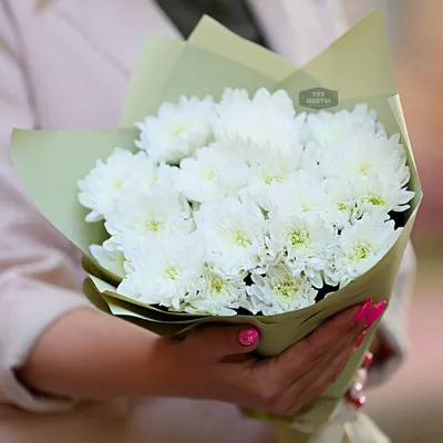 Доставка цветов \"Белоснежные кустовые хризантемы\" - Доставкой цветов в  Москве! 21186 товаров! Цены от 487 руб. Цветы Тут