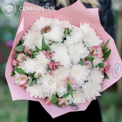 5 белых кустовых хризантем и 10 розовых альстромерий купить в СПб в  интернет-магазине Семицветик✿