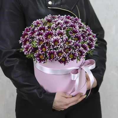 Кустовые хризантемы FlorPro, цвет розовый, лиловый, 7 шт купить по выгодной  цене в интернет-магазине OZON