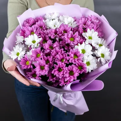 Букет из 9 розовых и белых кустовых хризантем в виде ромашки - Доставка  цветов в Санкт-Петербурге | Весна - сеть цветочных магазинов