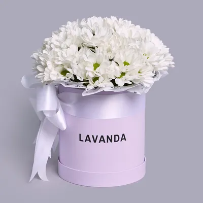 Хризантемы белые кустовые в коробке - купить цветы в Омске в цветочной  мастерской Лаванда